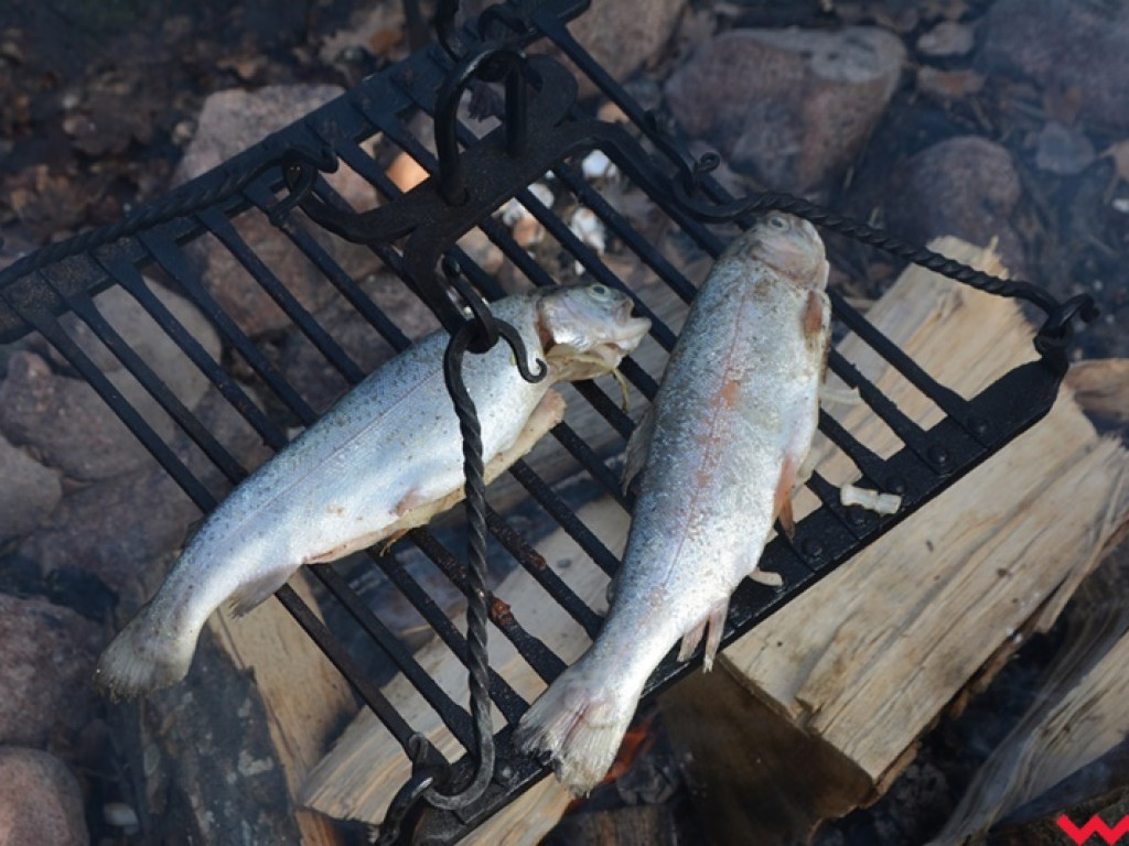 Wojowie ze Stowarzyszenia „Aurea Tempora” przetrwali zimę w Grzybowie