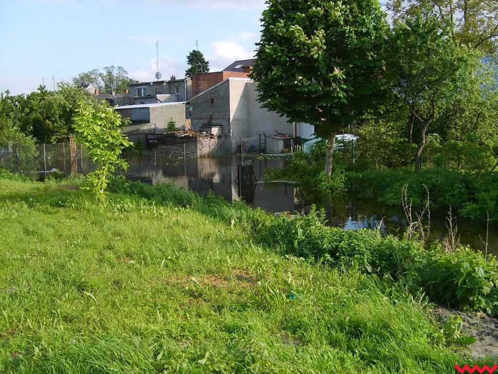 Prace na Flisie będą, ale w bardzo okrojonym zakresie
