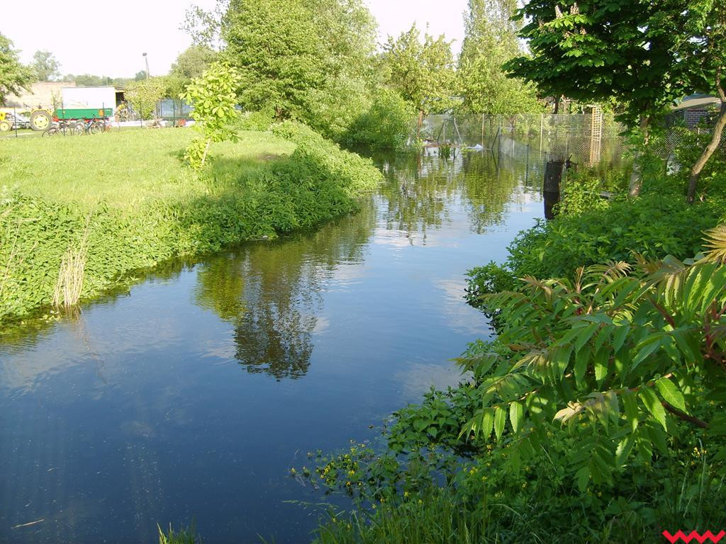 Prace na Flisie będą, ale w bardzo okrojonym zakresie