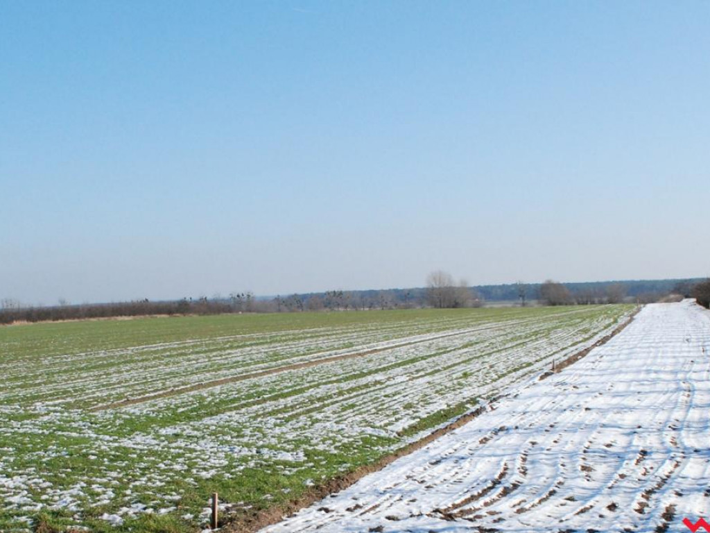 Wkrótce ruszy nowa inwestycja mieszkaniowa w Pyzdrach