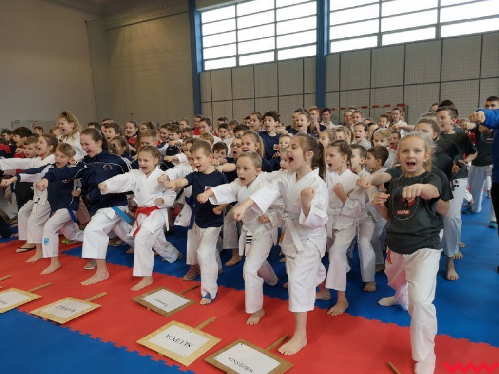 Dobry występ zawodników Wrzesińskiego Klubu Karate podczas turnieju w Środzie Wlkp.