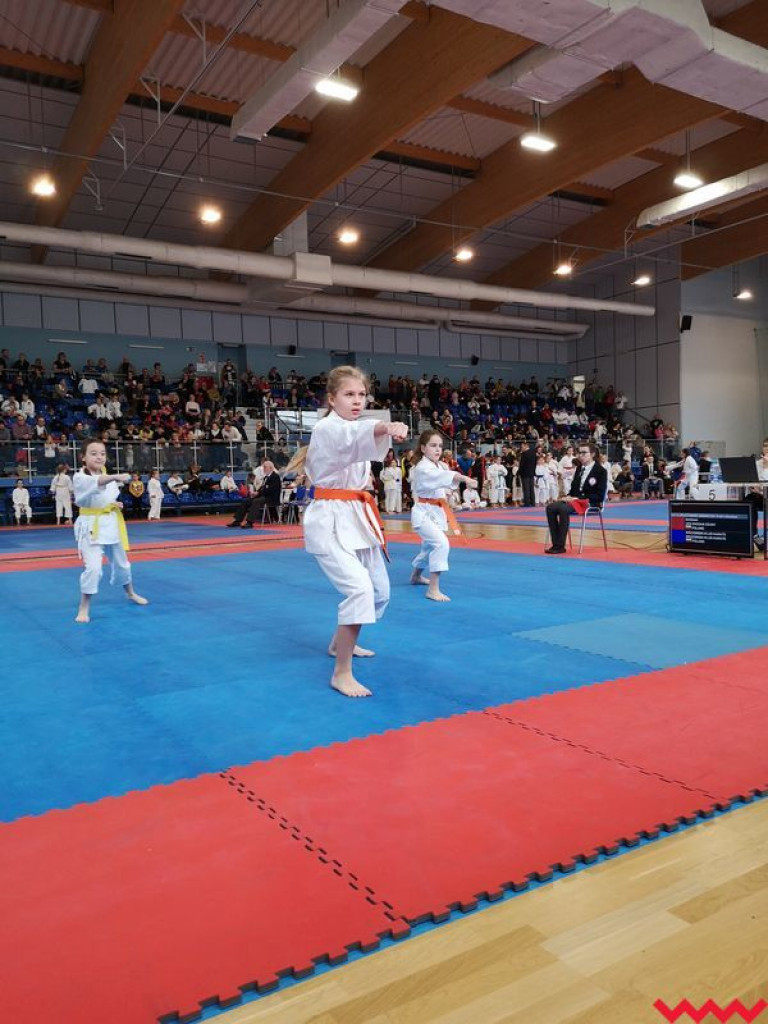 Dobry występ zawodników Wrzesińskiego Klubu Karate podczas turnieju w Środzie Wlkp.