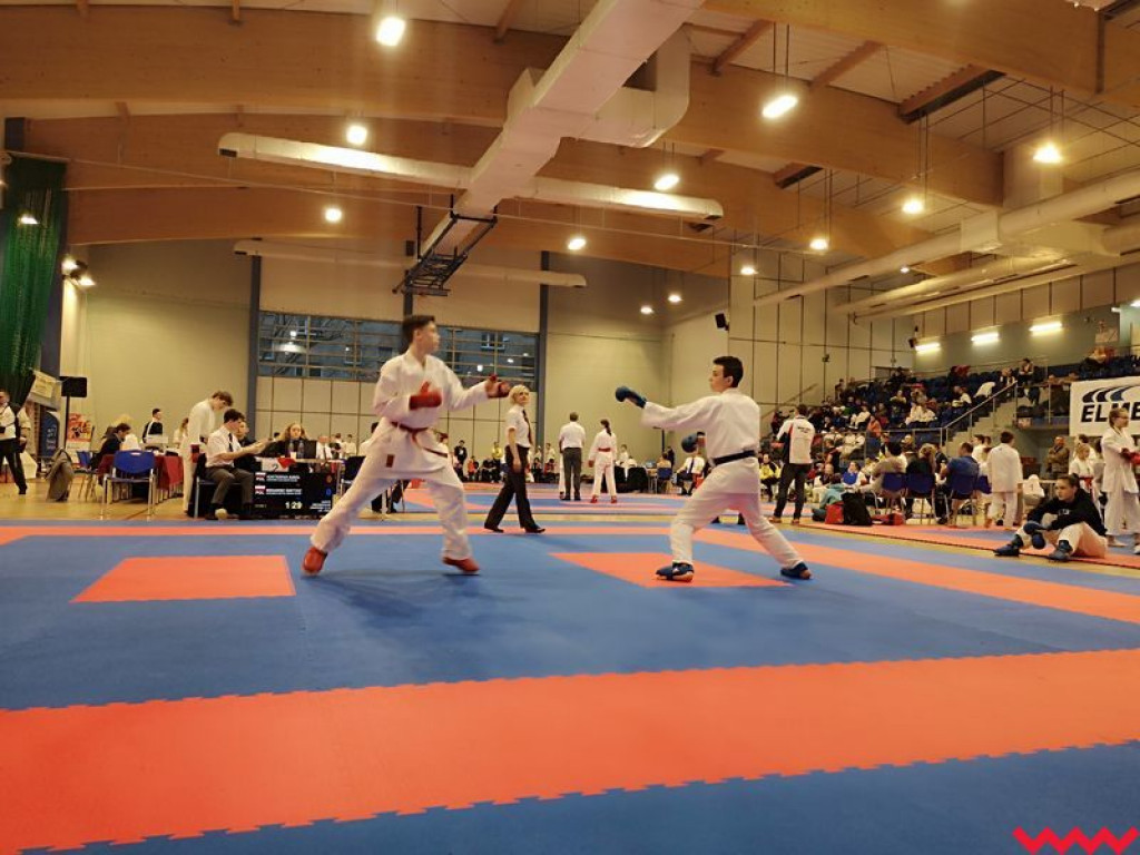 Dobry występ zawodników Wrzesińskiego Klubu Karate podczas turnieju w Środzie Wlkp.