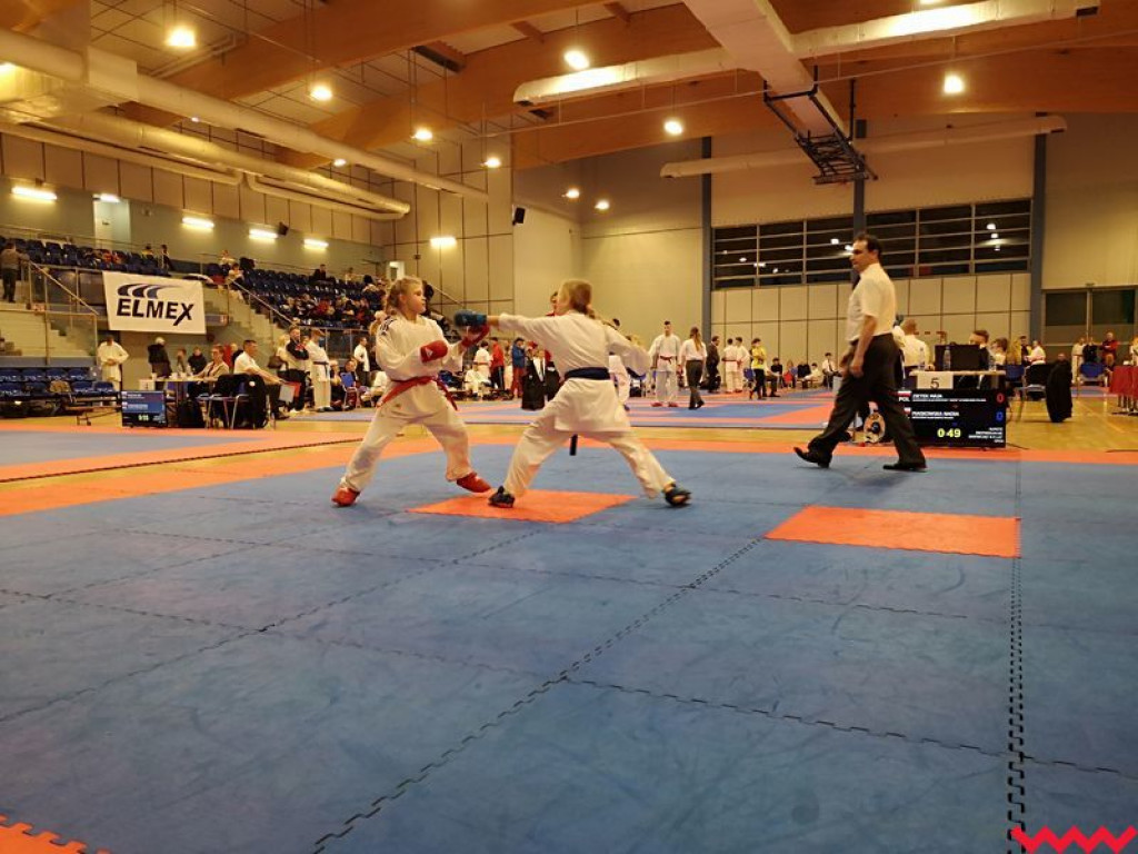 Dobry występ zawodników Wrzesińskiego Klubu Karate podczas turnieju w Środzie Wlkp.