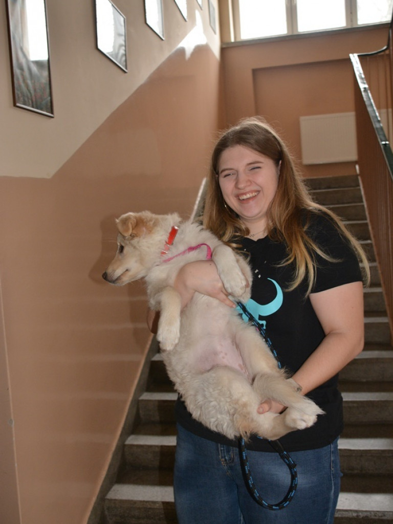 Kandydaci i kandydatki zapoznali się z ofertą edukacyjną Zespołu Szkół Technicznych i Ogólnokształcących