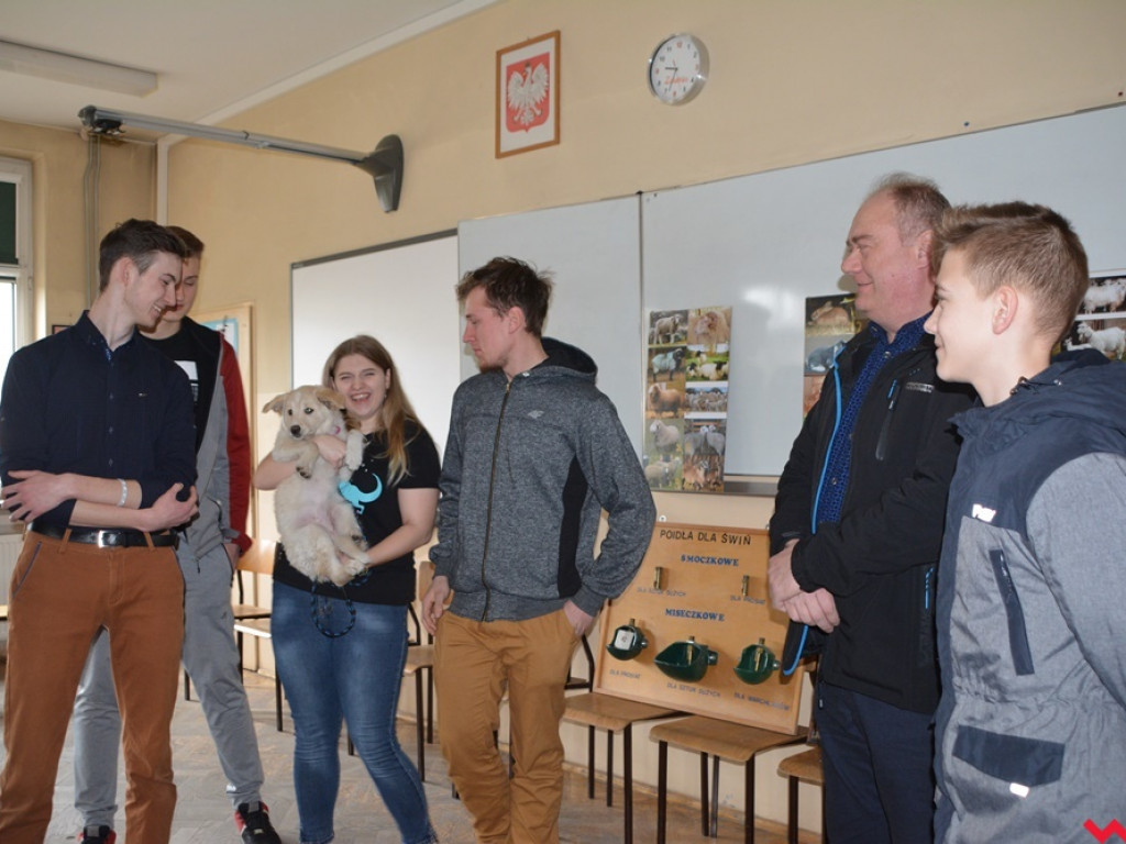 Kandydaci i kandydatki zapoznali się z ofertą edukacyjną Zespołu Szkół Technicznych i Ogólnokształcących