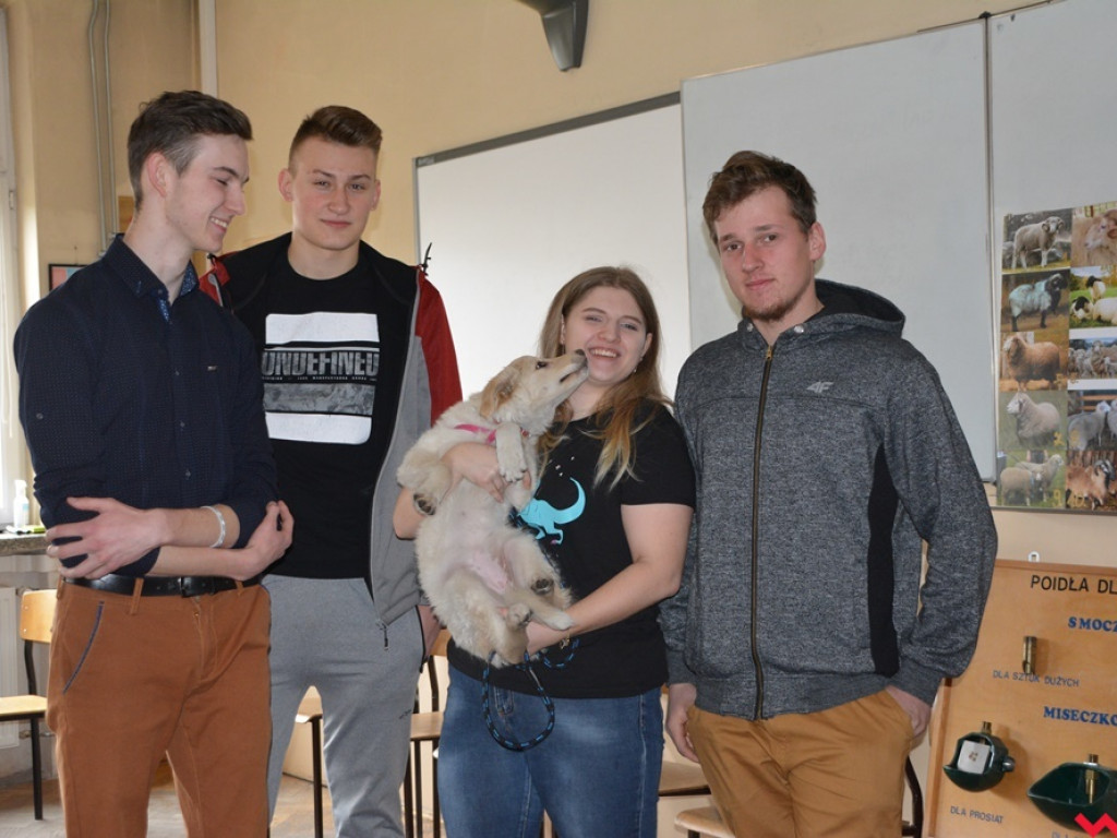 Kandydaci i kandydatki zapoznali się z ofertą edukacyjną Zespołu Szkół Technicznych i Ogólnokształcących