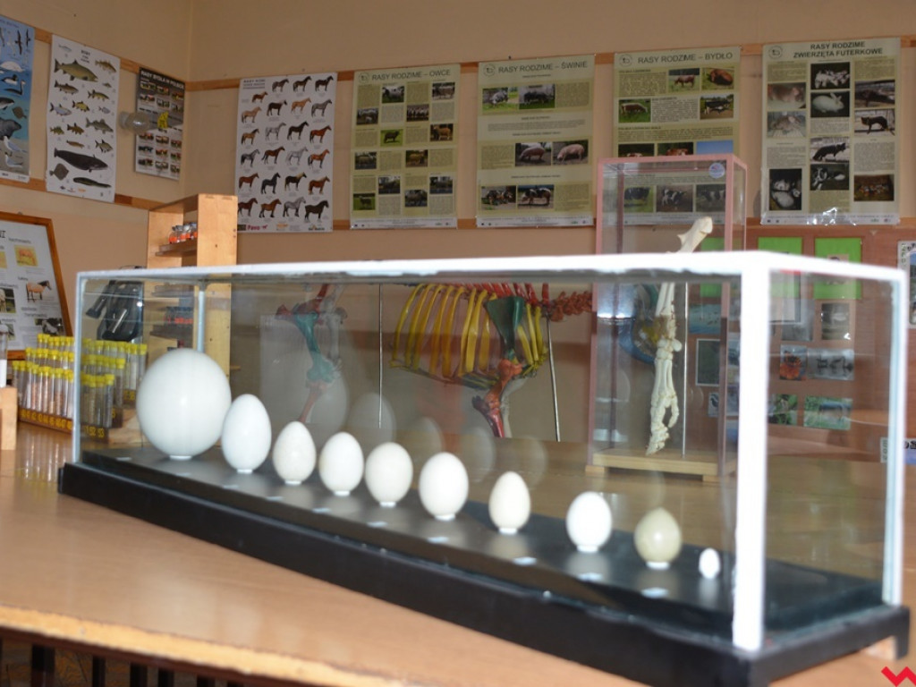 Kandydaci i kandydatki zapoznali się z ofertą edukacyjną Zespołu Szkół Technicznych i Ogólnokształcących