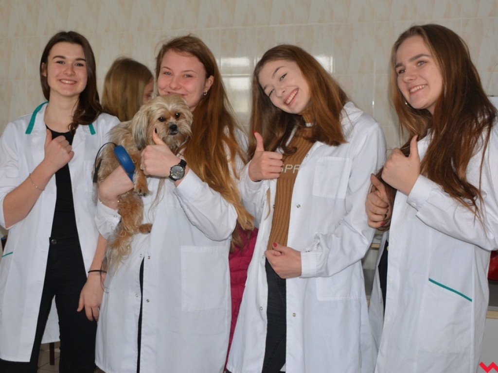 Kandydaci i kandydatki zapoznali się z ofertą edukacyjną Zespołu Szkół Technicznych i Ogólnokształcących