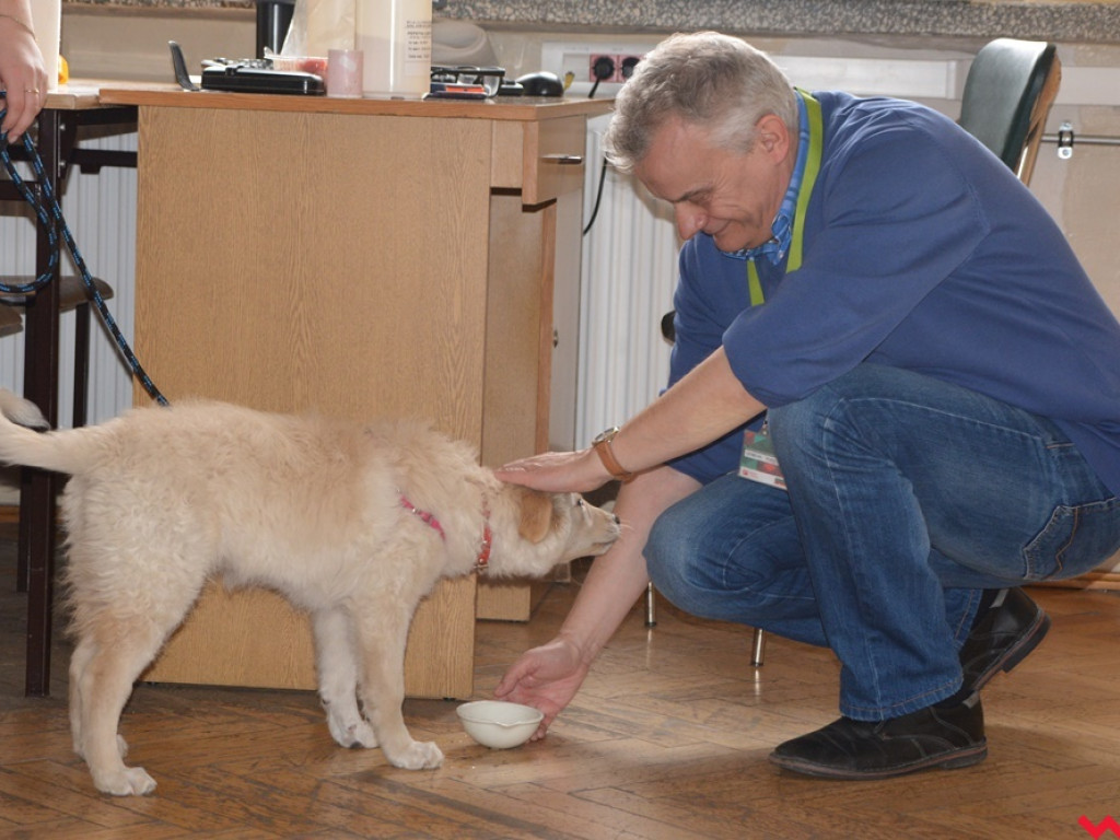 Kandydaci i kandydatki zapoznali się z ofertą edukacyjną Zespołu Szkół Technicznych i Ogólnokształcących