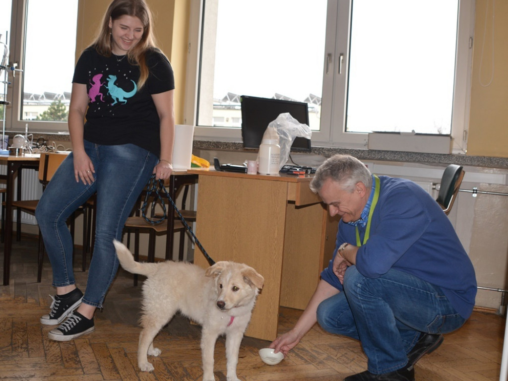 Kandydaci i kandydatki zapoznali się z ofertą edukacyjną Zespołu Szkół Technicznych i Ogólnokształcących