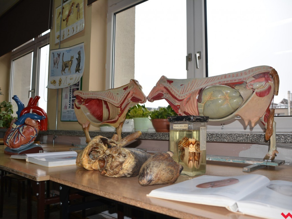 Kandydaci i kandydatki zapoznali się z ofertą edukacyjną Zespołu Szkół Technicznych i Ogólnokształcących