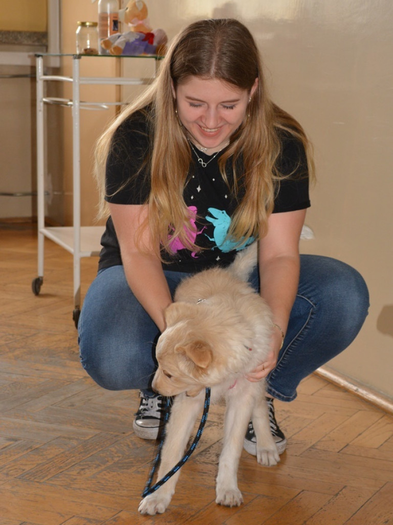 Kandydaci i kandydatki zapoznali się z ofertą edukacyjną Zespołu Szkół Technicznych i Ogólnokształcących