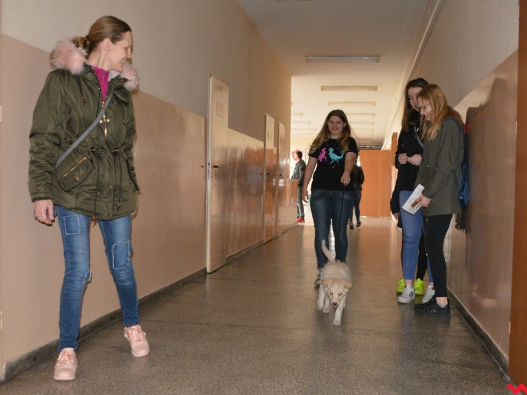 Kandydaci i kandydatki zapoznali się z ofertą edukacyjną Zespołu Szkół Technicznych i Ogólnokształcących