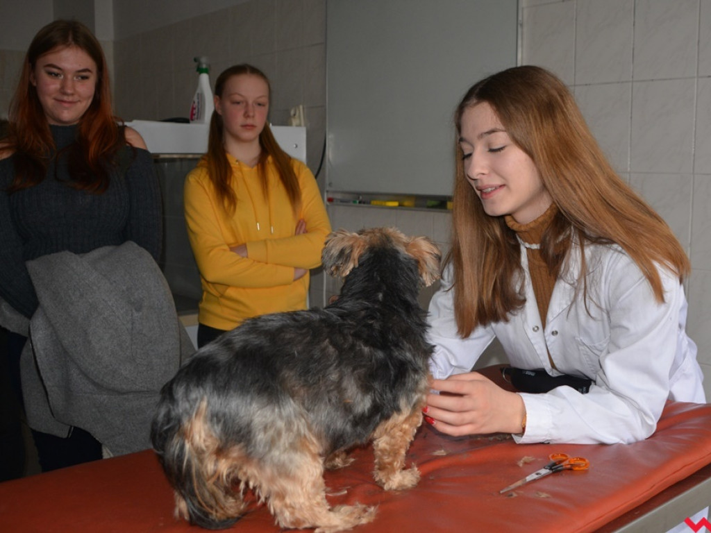 Kandydaci i kandydatki zapoznali się z ofertą edukacyjną Zespołu Szkół Technicznych i Ogólnokształcących