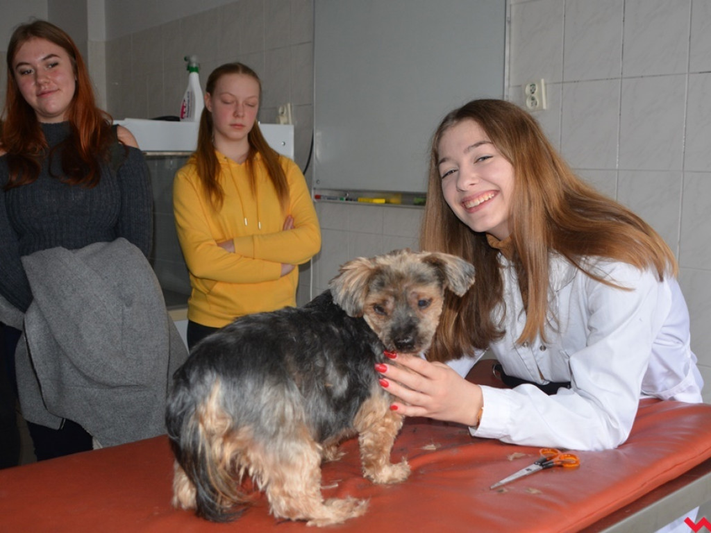 Kandydaci i kandydatki zapoznali się z ofertą edukacyjną Zespołu Szkół Technicznych i Ogólnokształcących