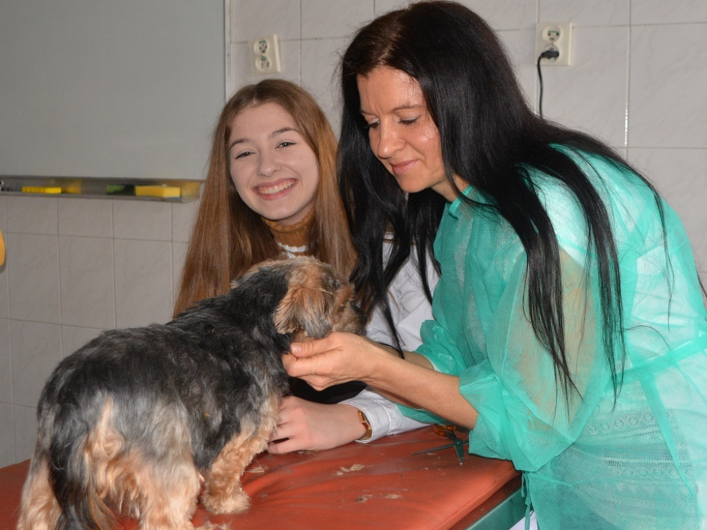 Kandydaci i kandydatki zapoznali się z ofertą edukacyjną Zespołu Szkół Technicznych i Ogólnokształcących