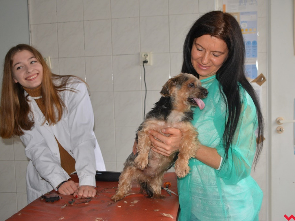 Kandydaci i kandydatki zapoznali się z ofertą edukacyjną Zespołu Szkół Technicznych i Ogólnokształcących