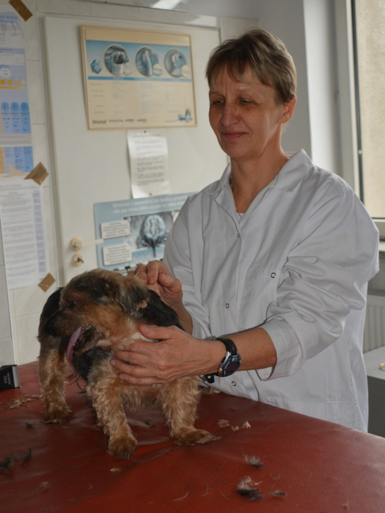 Kandydaci i kandydatki zapoznali się z ofertą edukacyjną Zespołu Szkół Technicznych i Ogólnokształcących