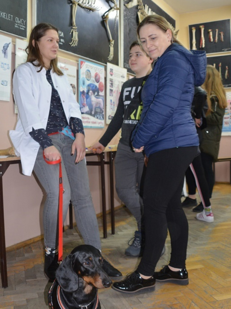 Kandydaci i kandydatki zapoznali się z ofertą edukacyjną Zespołu Szkół Technicznych i Ogólnokształcących