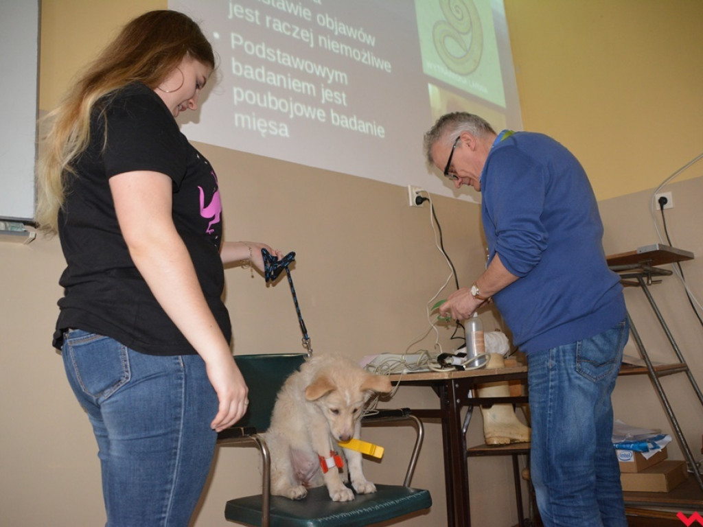 Kandydaci i kandydatki zapoznali się z ofertą edukacyjną Zespołu Szkół Technicznych i Ogólnokształcących