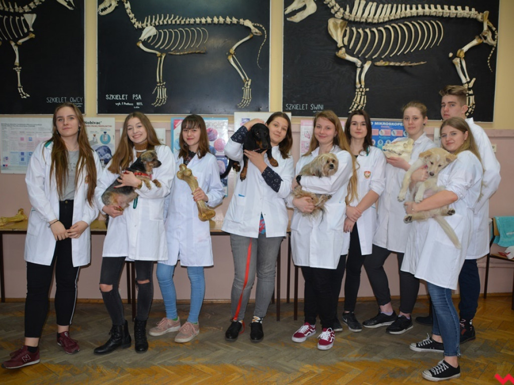 Kandydaci i kandydatki zapoznali się z ofertą edukacyjną Zespołu Szkół Technicznych i Ogólnokształcących