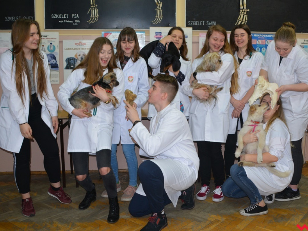 Kandydaci i kandydatki zapoznali się z ofertą edukacyjną Zespołu Szkół Technicznych i Ogólnokształcących