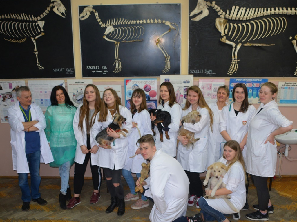 Kandydaci i kandydatki zapoznali się z ofertą edukacyjną Zespołu Szkół Technicznych i Ogólnokształcących