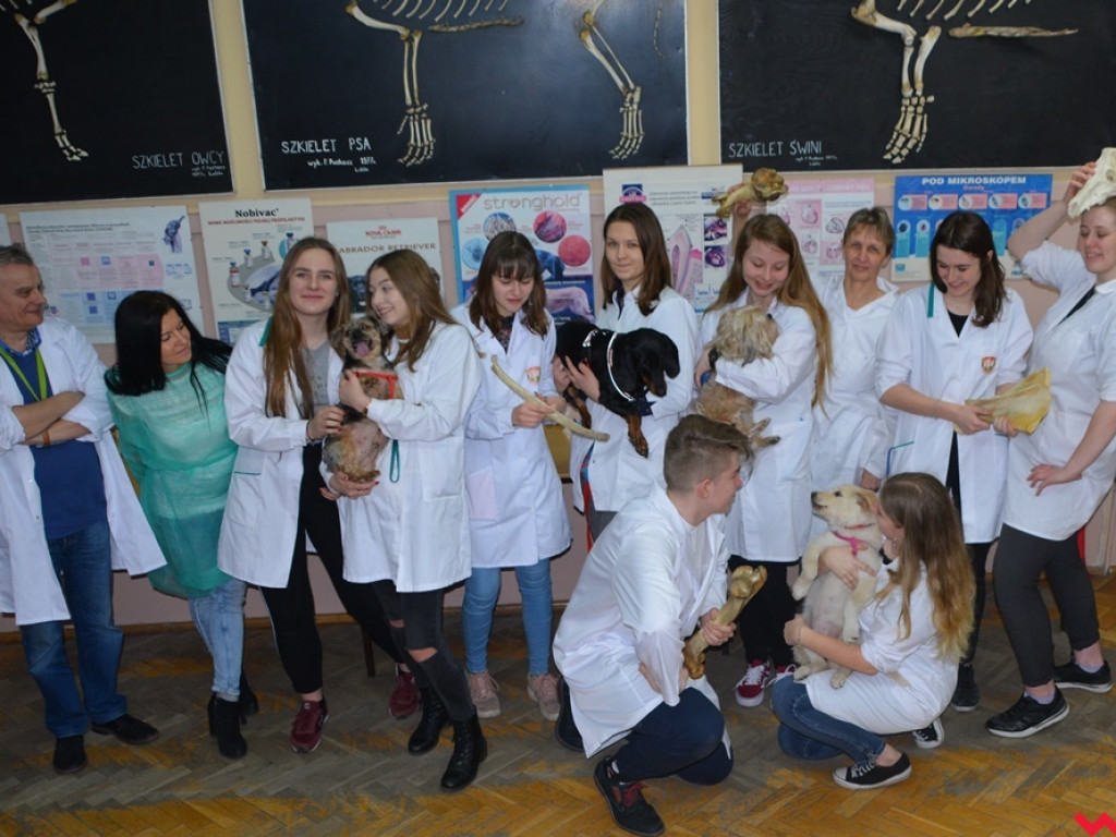 Kandydaci i kandydatki zapoznali się z ofertą edukacyjną Zespołu Szkół Technicznych i Ogólnokształcących