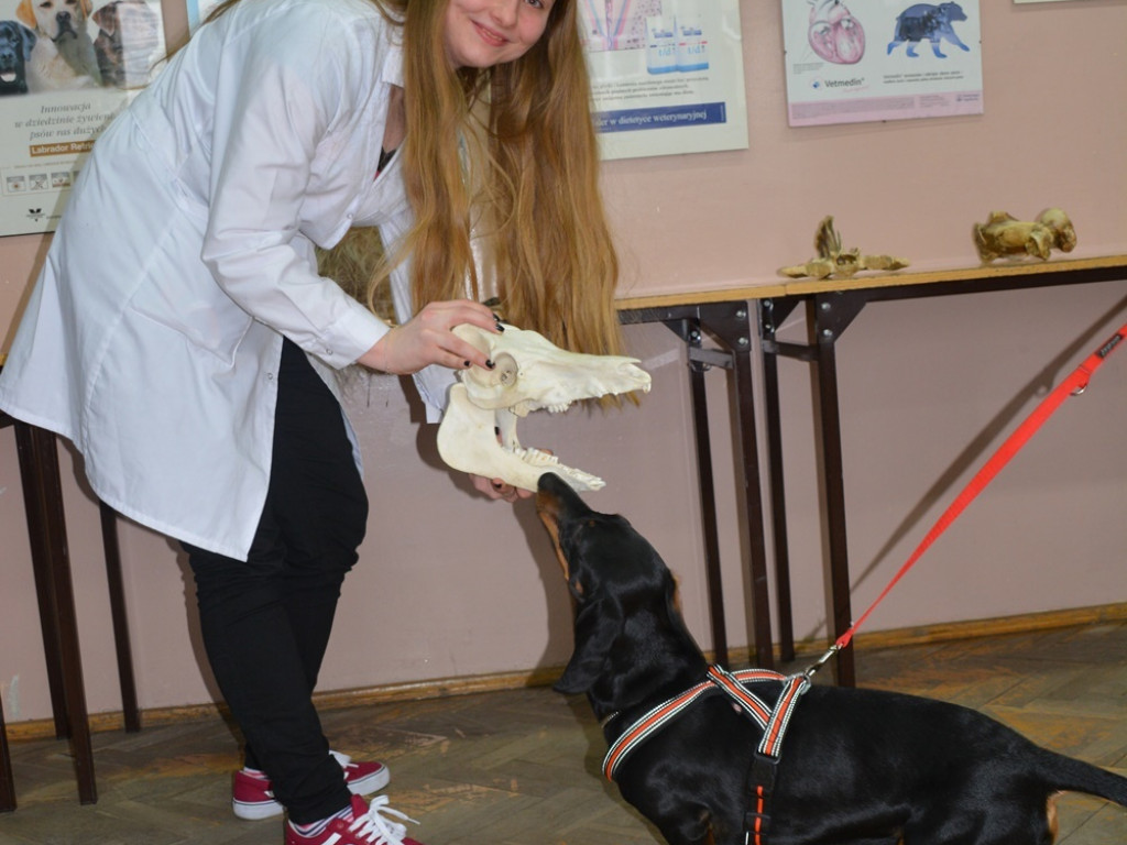 Kandydaci i kandydatki zapoznali się z ofertą edukacyjną Zespołu Szkół Technicznych i Ogólnokształcących