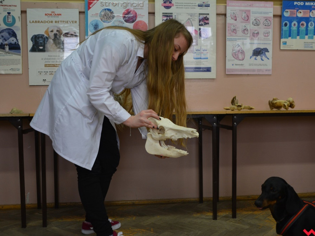 Kandydaci i kandydatki zapoznali się z ofertą edukacyjną Zespołu Szkół Technicznych i Ogólnokształcących