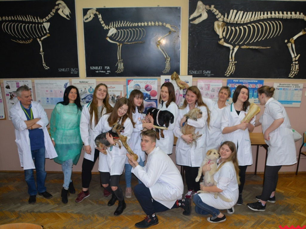 Kandydaci i kandydatki zapoznali się z ofertą edukacyjną Zespołu Szkół Technicznych i Ogólnokształcących