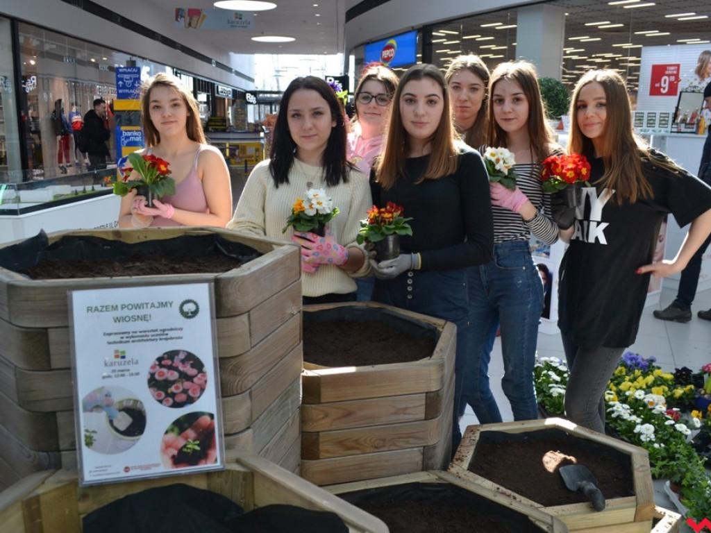 Uczniowie ZSP powitali wiosnę tworząc kwiatowy ogródek w Karuzeli