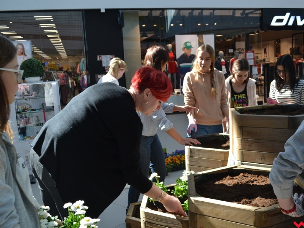 Uczniowie ZSP powitali wiosnę tworząc kwiatowy ogródek w Karuzeli