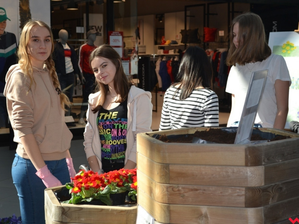 Uczniowie ZSP powitali wiosnę tworząc kwiatowy ogródek w Karuzeli