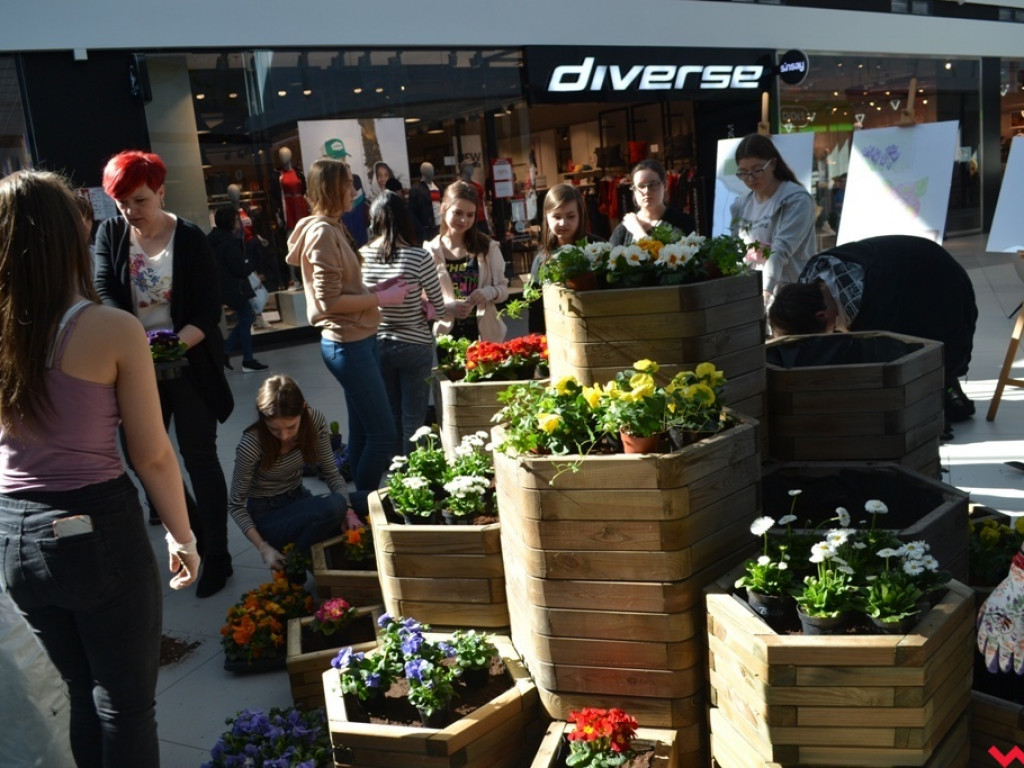 Uczniowie ZSP powitali wiosnę tworząc kwiatowy ogródek w Karuzeli