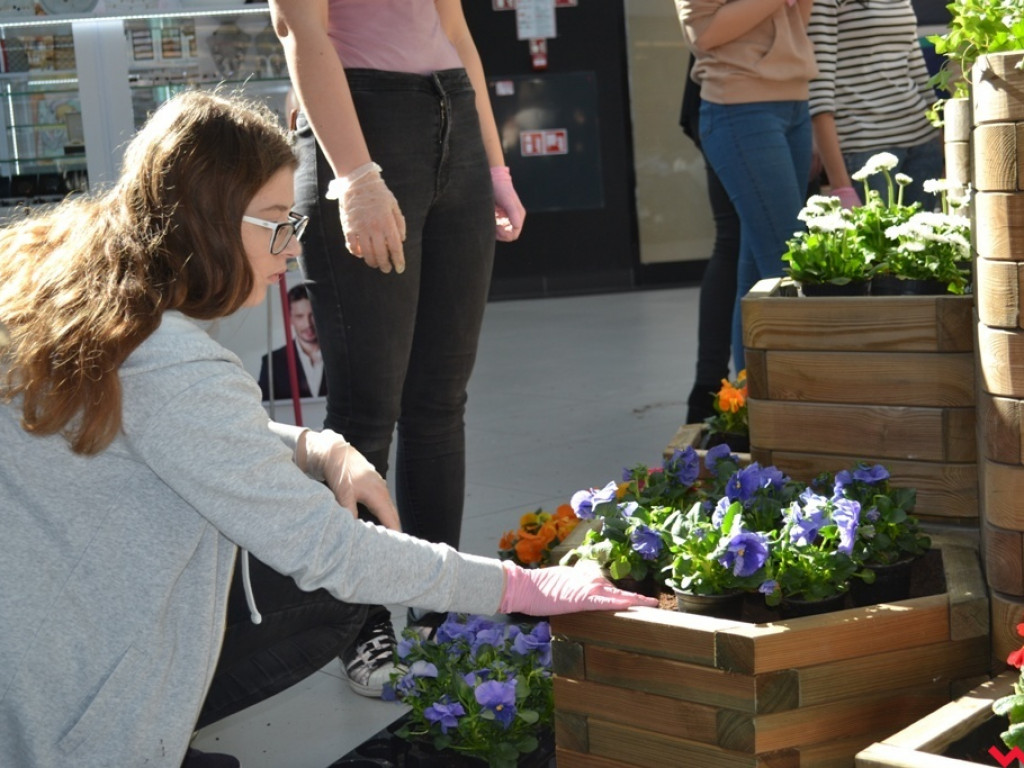 Uczniowie ZSP powitali wiosnę tworząc kwiatowy ogródek w Karuzeli