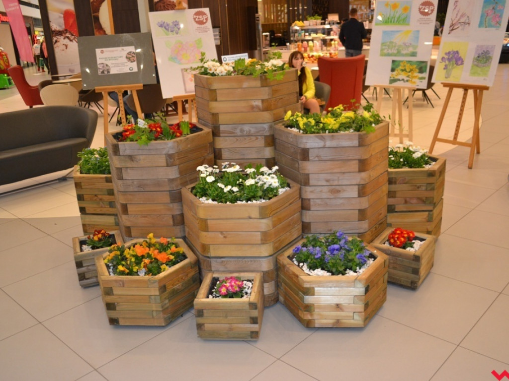 Uczniowie ZSP powitali wiosnę tworząc kwiatowy ogródek w Karuzeli