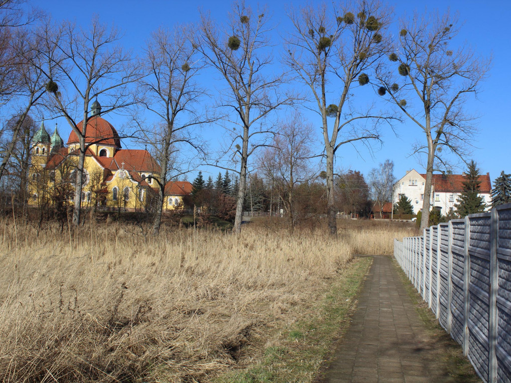 Wyruszamy na szlak (8) - nietypowa bryła, czyli kościół św. Andrzeja Apostoła w Nekli