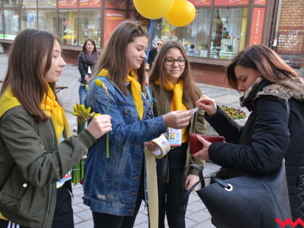 Piąte „Pola Nadziei” we Wrześni. 150 wolontariuszy na ulicach