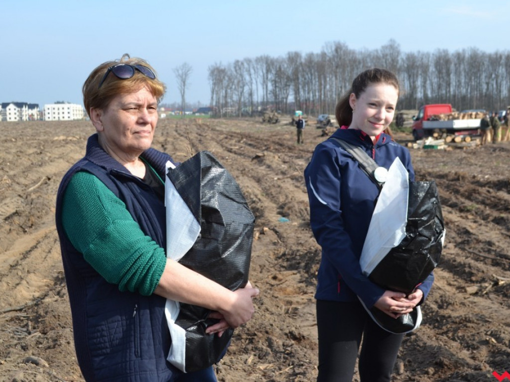 Sadzili las dla przyszłych pokoleń. Już za tydzień druga edycja akcji