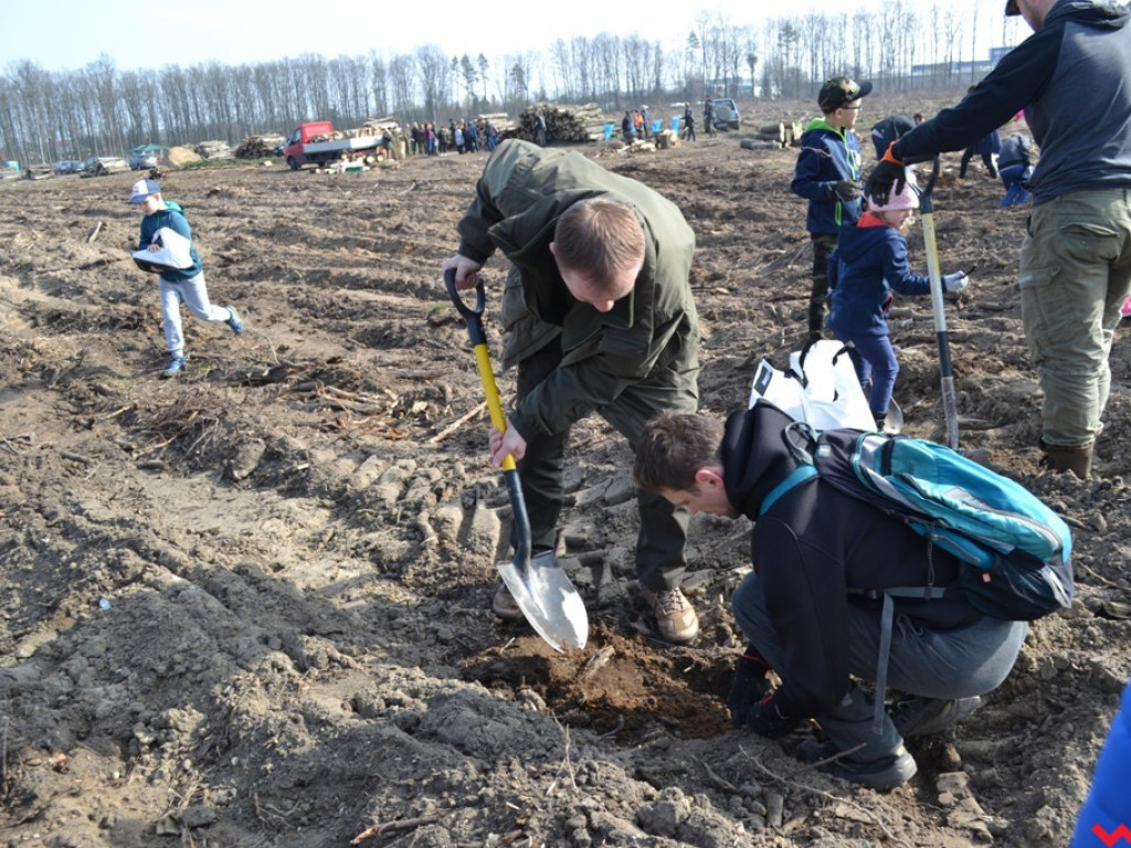 Sadzili las dla przyszłych pokoleń. Już za tydzień druga edycja akcji
