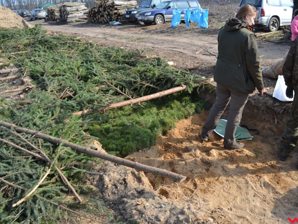 Sadzili las dla przyszłych pokoleń. Już za tydzień druga edycja akcji
