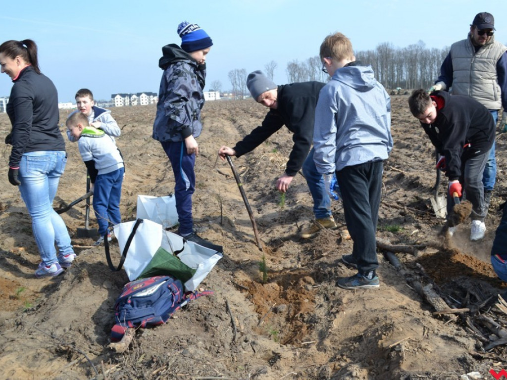 Sadzili las dla przyszłych pokoleń. Już za tydzień druga edycja akcji