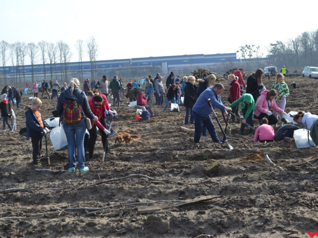 Sadzili las dla przyszłych pokoleń. Już za tydzień druga edycja akcji