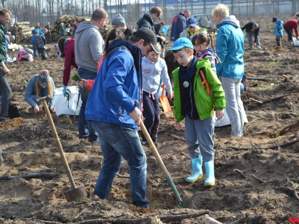 Sadzili las dla przyszłych pokoleń. Już za tydzień druga edycja akcji