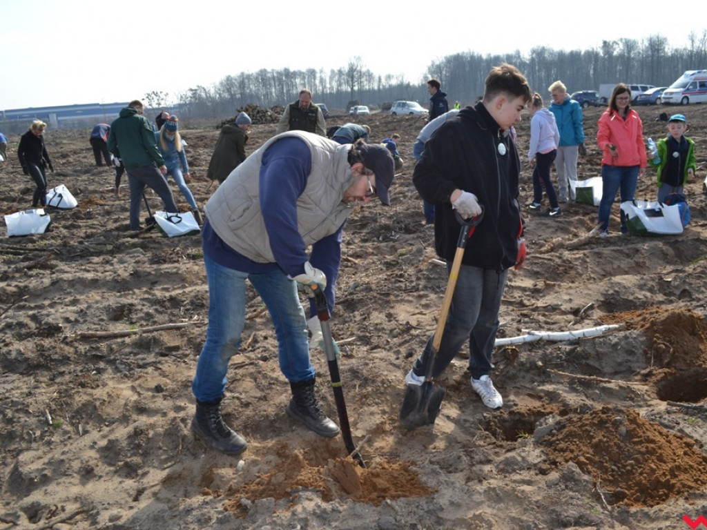 Sadzili las dla przyszłych pokoleń. Już za tydzień druga edycja akcji