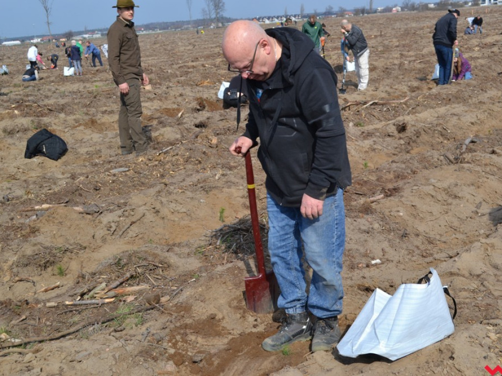 Sadzili las dla przyszłych pokoleń. Już za tydzień druga edycja akcji