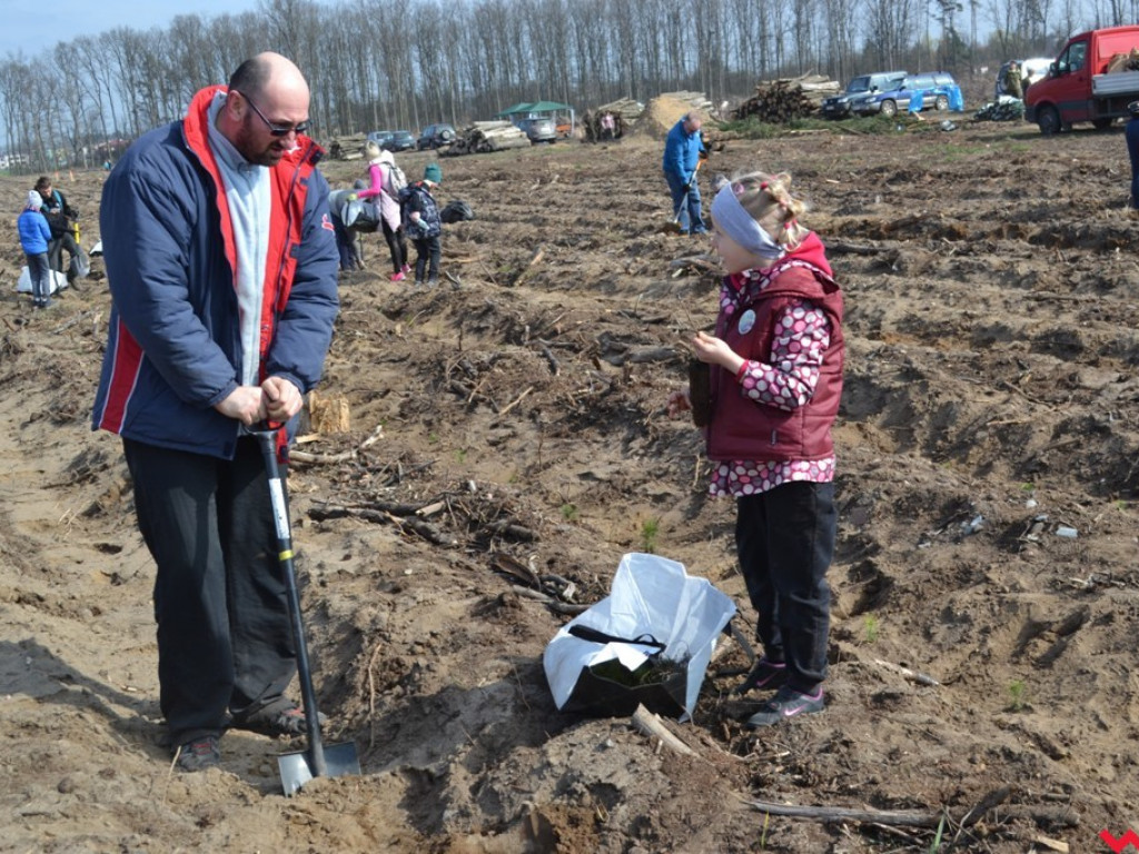 Sadzili las dla przyszłych pokoleń. Już za tydzień druga edycja akcji
