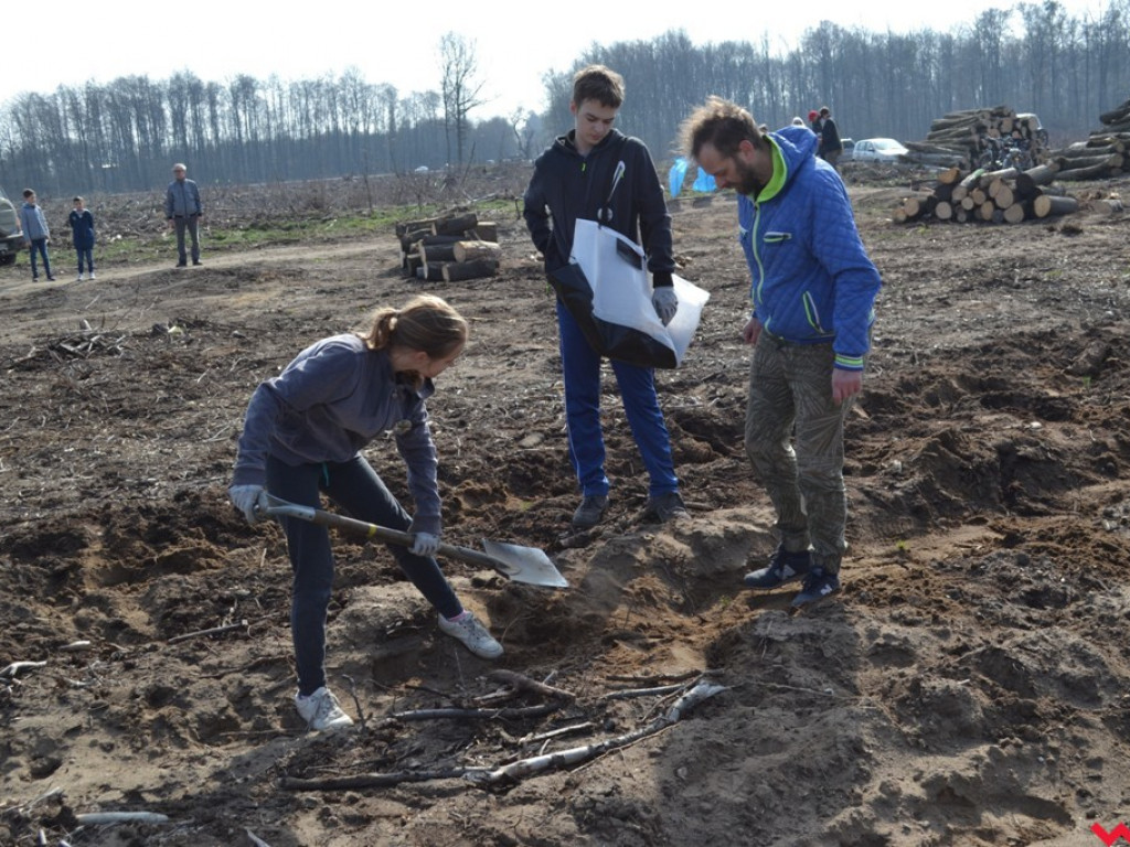 Sadzili las dla przyszłych pokoleń. Już za tydzień druga edycja akcji